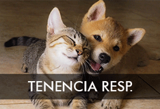Tenencia Responsable